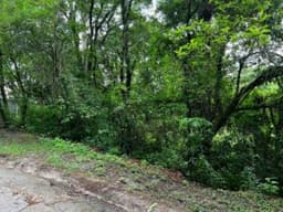VENDO TERRENO EN EXCLUSIVO SECTOR DEL ENCINAL
