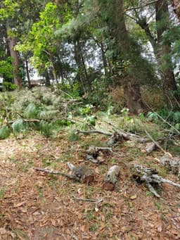 VENDO TERRENO EN SANTA CATARINA PINULA