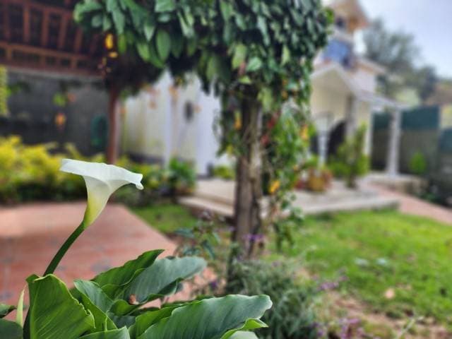 En renta casa para uso comercial cerca de Antigua — foto 11