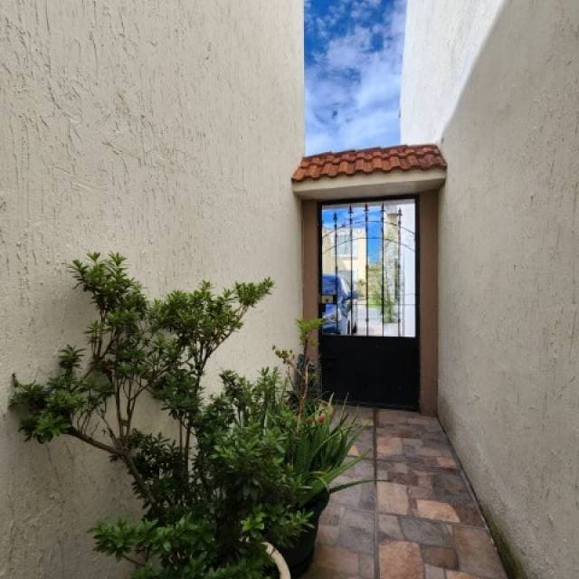 Apartamento Amueblado en Renta San Cristóbal — foto 15