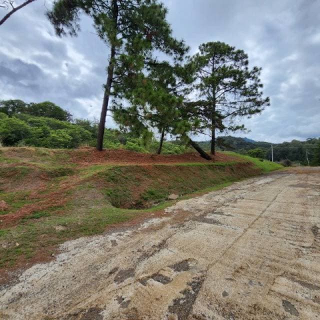 Terreno en Alquiler Labor de Castilla Zona 9 Mixco — foto 3