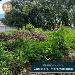 VENDO TERRENO DENTRO DE CONDOMINIO LAS HOJARASCAS