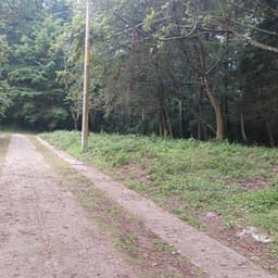 Terreno en Venta 1,096.40 mts2 Tierra Linda I San Lucas