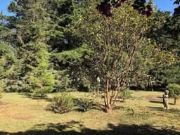VENDO TERRENO EN KM 22.5 CAES , FRAIJANES