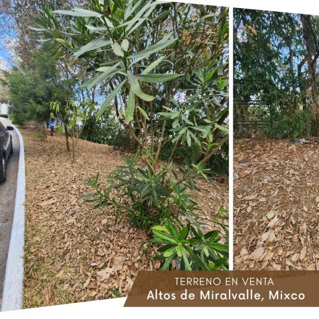 VENDO TERRENO EN KM 39 CARRETERA INTERAMERICANA