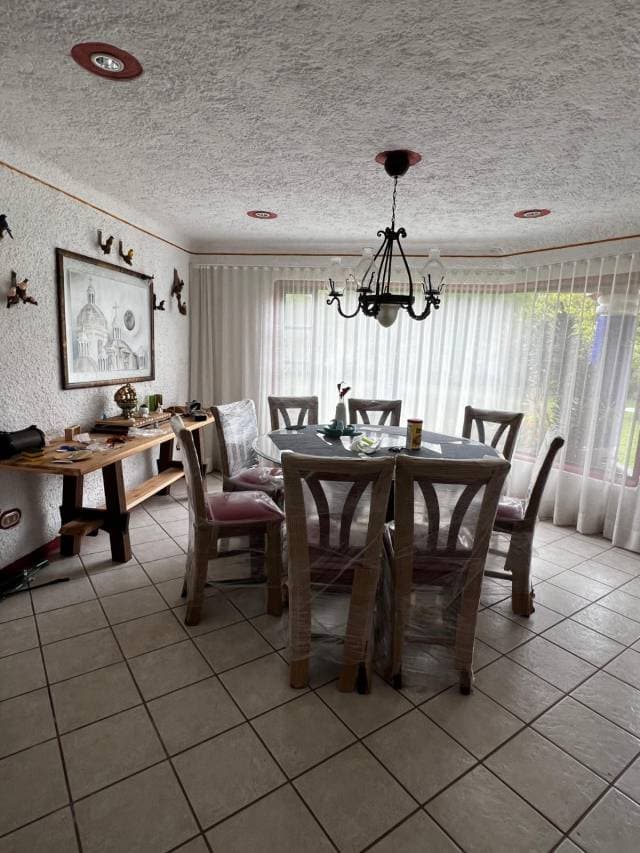 Rento Casas en San Lucas — foto 2