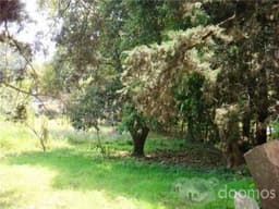 Comprar Terreno San Lucas Sacatepéquez Sacatepéquez