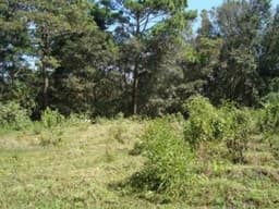 Comprar Terreno Guatemala Carretera Salvador Km17