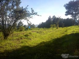 RESIDENCIAL SAN AGUSTIN