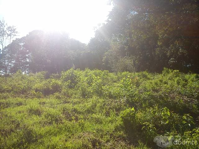 RESIDENCIAL SAN AGUSTIN — foto 3