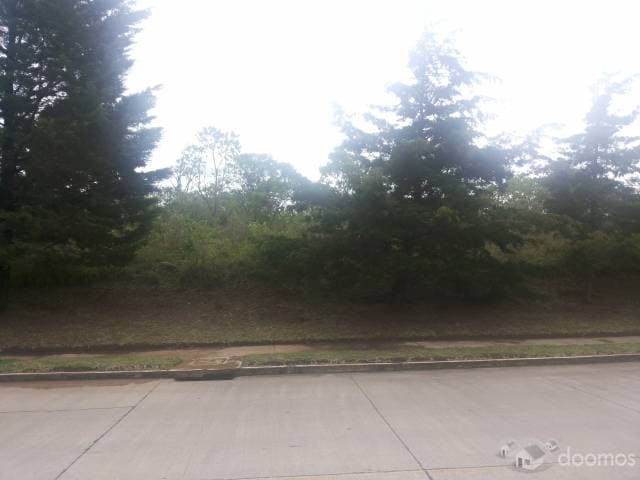Vendo 2,500 v2 en condominio de lujo Casa y Campo — foto 1