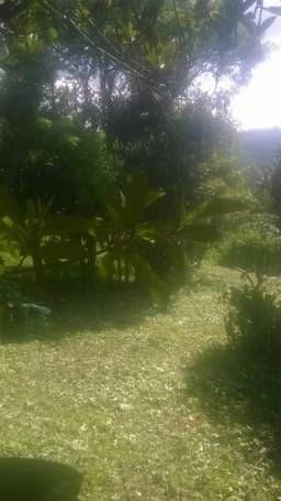 CITYMAX ANTIGUA VENDE HERMOSO TERRENO EN EL CENTRO DE SAN JUAN DEL OBISPO