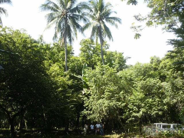 GANGA APROVECHEN — foto 1