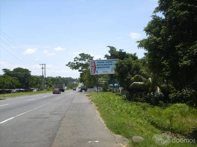 GANGA APROVECHEN — foto 2